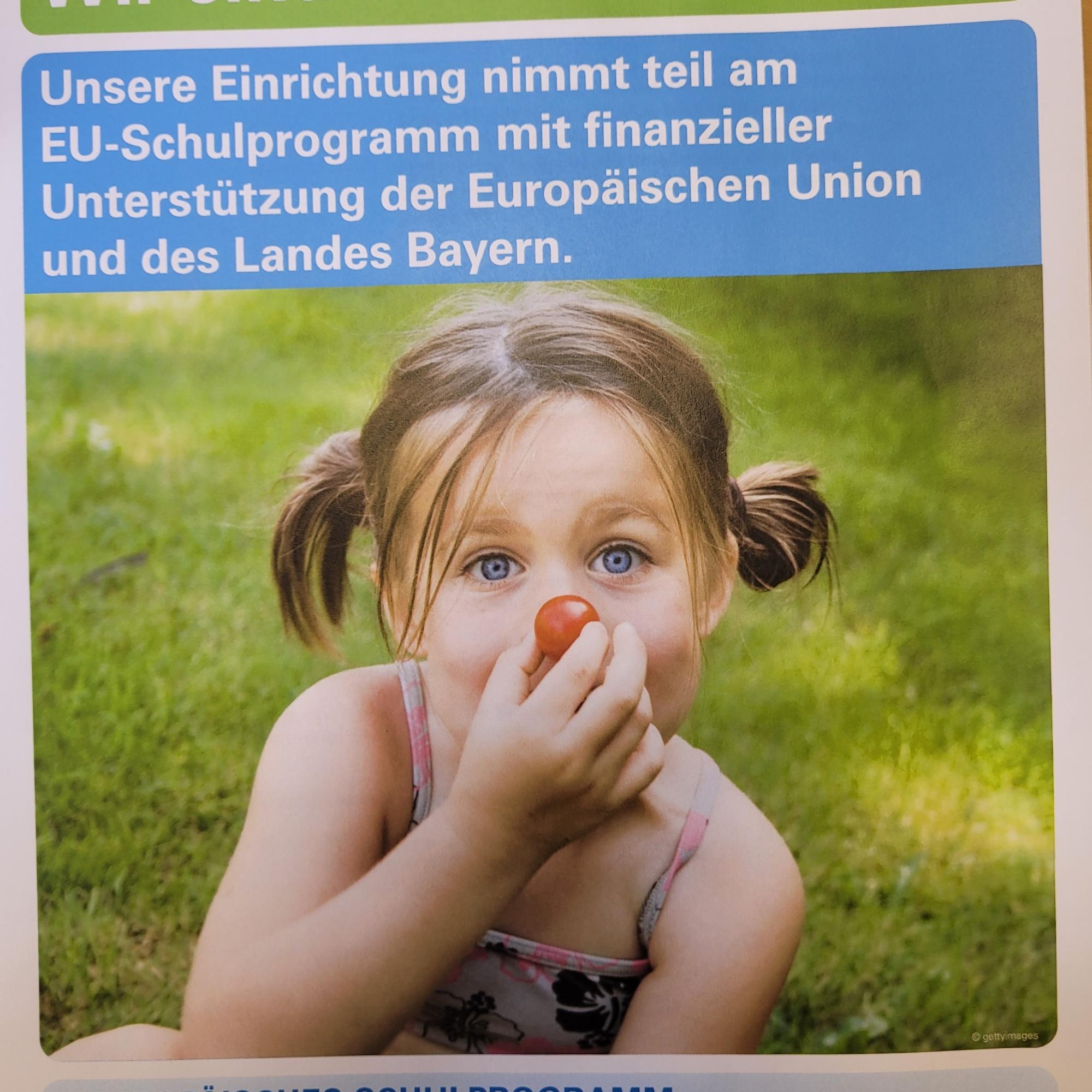 Eu Schulprogramm